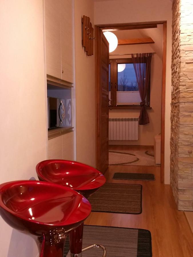 Tatary - U Stanislawy Apartment Закопане Екстериор снимка